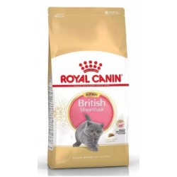 Royal Canin Kitten British Shorthair Yavru Irk Kedi Maması 2 Kg