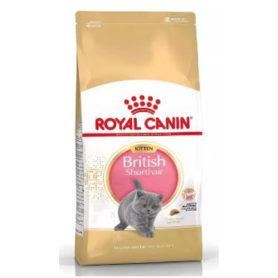 Royal Canin Kitten British Shorthair Yavru Irk Kedi Maması 2 Kg Royal Canin Kitten British Shorthair Yavru Irk Kedi Maması 2 Kg